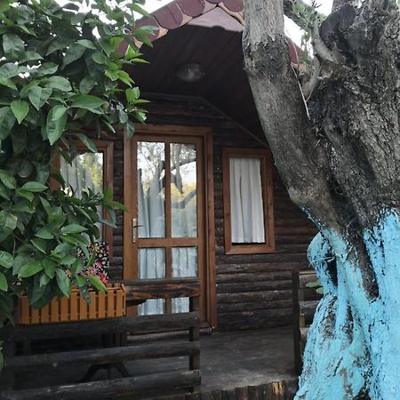 Zeytindagi Bungalow Mehmetalani Buitenkant foto