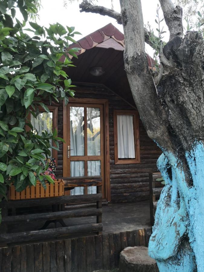 Zeytindagi Bungalow Mehmetalani Buitenkant foto