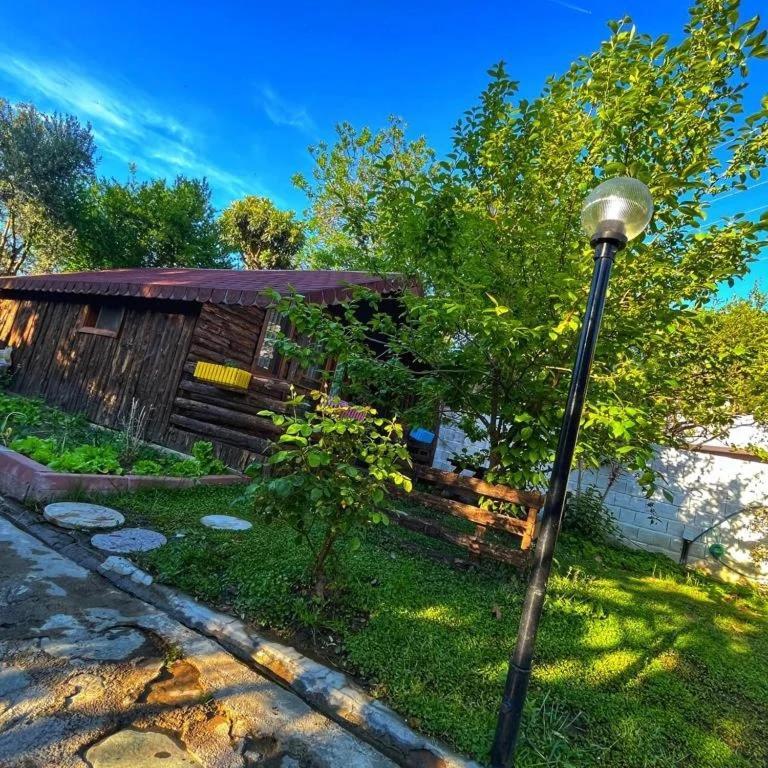 Zeytindagi Bungalow Mehmetalani Buitenkant foto