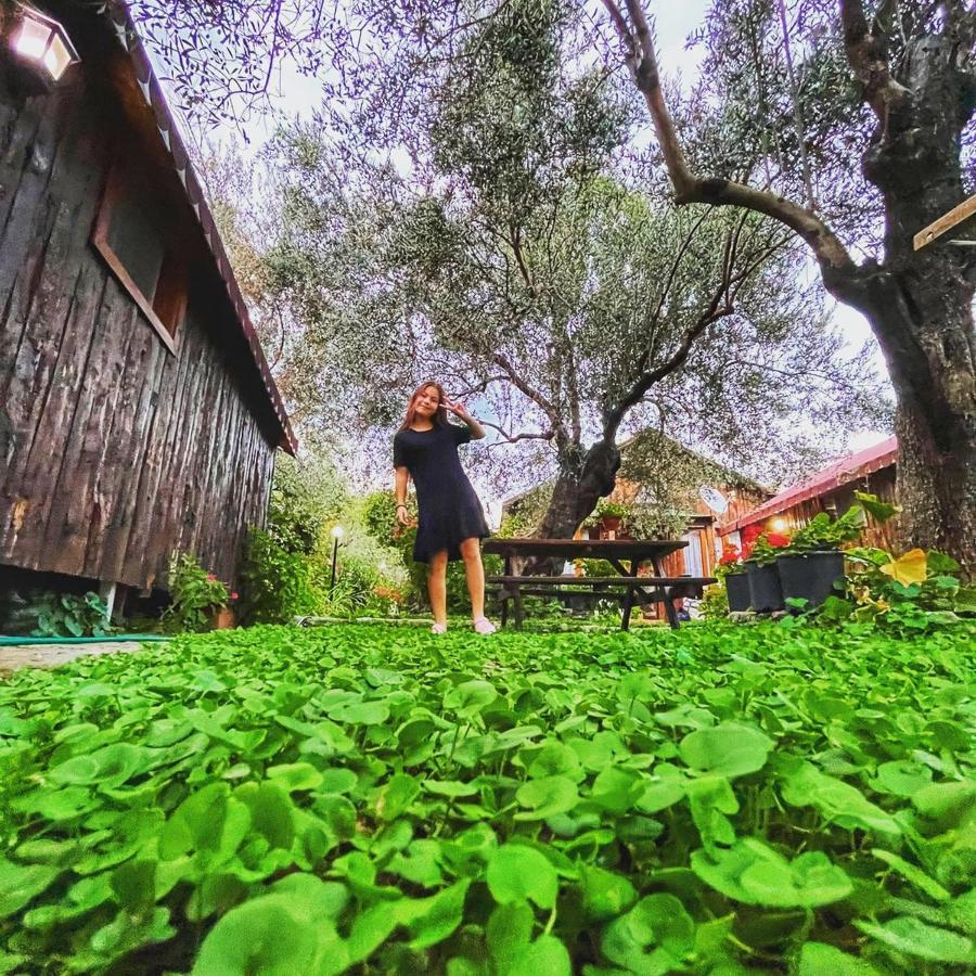 Zeytindagi Bungalow Mehmetalani Buitenkant foto